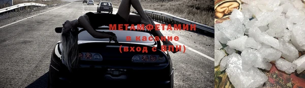 шишки Беломорск