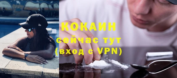 шишки Беломорск
