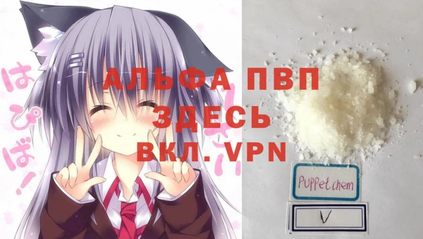 скорость Богданович