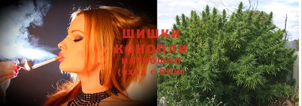 скорость Богданович