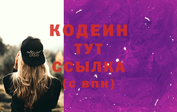 шишки Беломорск